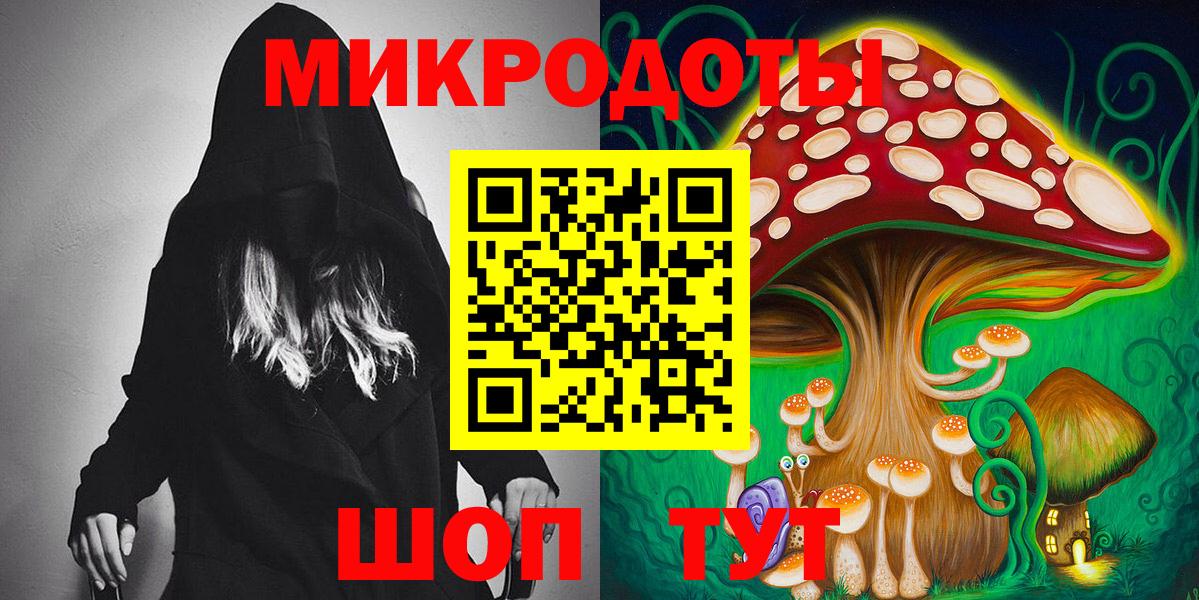 Псилоцибиновые грибы Psilocybe  Вход с VPN  Кувандык 